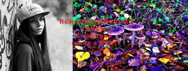 марки lsd Медногорск