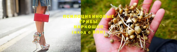 прущая мука Мегион