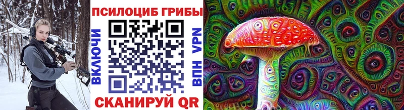 Галлюциногенные грибы мицелий  купить закладку  Красновишерск 